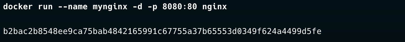 Docker run nginx